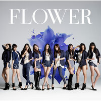 Still - Flower