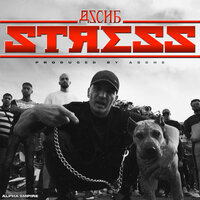 Stress - Asche