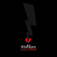 You Took the Sunshine from New York - The Wildhearts