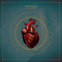 The Letter - The Veils