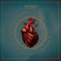 Sun Gangs - The Veils