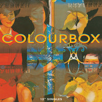 Tarantula - Colourbox