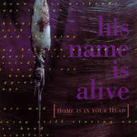 Love's A Fish Eye - His Name Is Alive