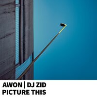 Picture This - Awon, DJ ZID