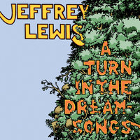 So What If I Couldn't Take It - Jeffrey Lewis