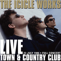 Who Do You Want for Your Love - The Icicle Works