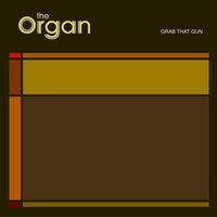 I Am Not Surprised - The Organ