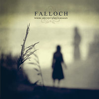 The Carrying Light - Falloch