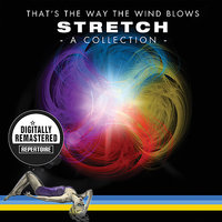 Why Did You Do It - Bonus EP - Stretch