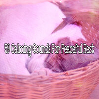 Freed from Insomnia. - Trouble Sleeping Music Universe