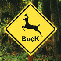 My Fascination - Buck