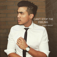 Can't Stop the Feeling - Joseph Vincent