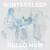 Permanent Sigh - Wintersleep