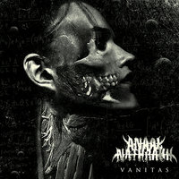 In Coelo Quies. Tout Finis Ici Bas - Anaal Nathrakh
