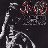 Salvage What's Left - Skinless
