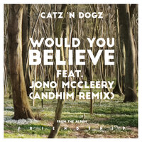 Would You Believe - Catz 'n Dogz, Jono McCleery, Andhim