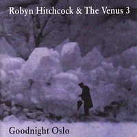 Your Head Here - Robyn Hitchcock, The Venus 3