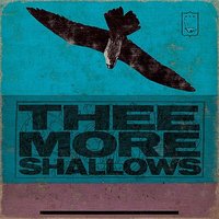 D. Shallow - Thee More Shallows