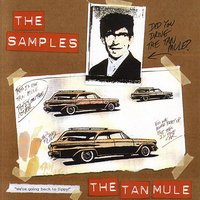 The Tree Outside - The Samples