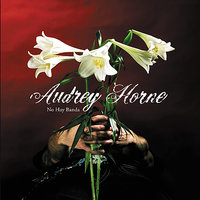 Confessions & Alcohol - Audrey Horne