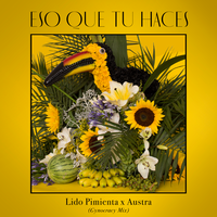 Eso Que Tu Haces - Lido Pimienta, Austra