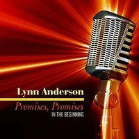A Penny For Your Thoughts - Lynn Anderson