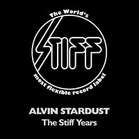 You're The Reason - Alvin Stardust