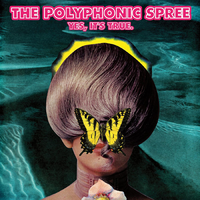 Section 39 (Blurry Up the Lines) - The Polyphonic Spree