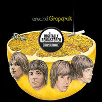 Round Going Round - Grapefruit