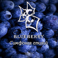 Дорога в вечность - Blueberry