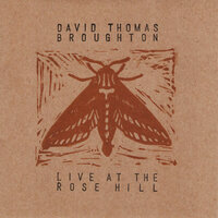 Plunge of the Dagger - David Thomas Broughton