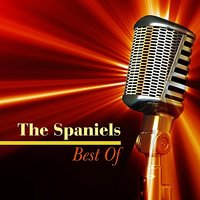 (You Gave Me) Peace Of Mind - The Spaniels
