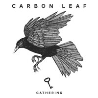 Gifts from the Crows - Carbon Leaf