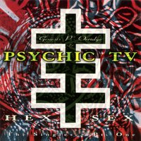 Roman P. - Psychic TV