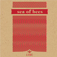 Sea Of Bees