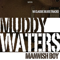 Diamonds At Your Feets - Muddy Waters