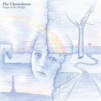 Monkeyland - The Chameleons