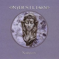 My Falling Darkness - Narsilion