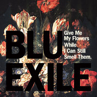 Berries and Juices - Blu & Exile, Blu, Exile