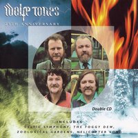 The Big Strong Man - The Wolfe Tones