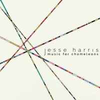 I Always Thought the World Would Catch Your Fall - Jesse Harris