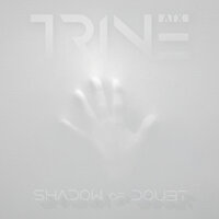 Shadow of Doubt - TrineATX