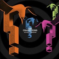 Caution (Strip) - The Chameleons