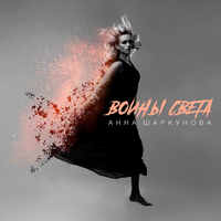 Воины света - Аня Шаркунова