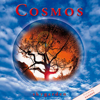 Internal voices - Cosmos