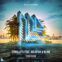 Confusion - 22Bullets, GoldFish, Blink