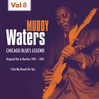 I´ve Got My Mojo Working - Muddy Waters