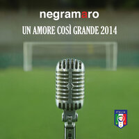 Un Amore Così Grande 2014 - Negramaro