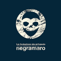 La Rivoluzione Sta Arrivando - Negramaro