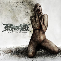 Crowning The Abomination - Ingested